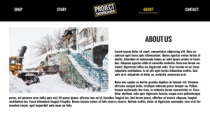 Proj 2 site rough 1920x1080 V4.jpg