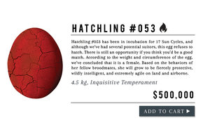 hatchling_053_03.jpg