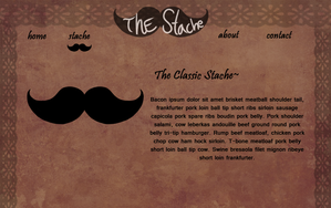 thestachepreliminary copy.png