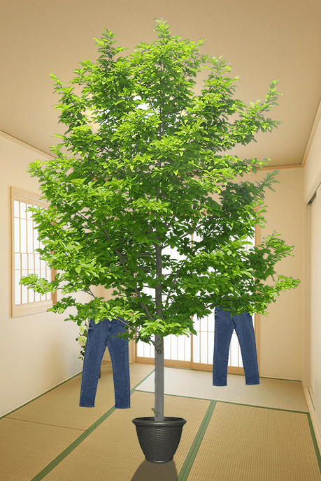 Click this link to look at purchase options for denim pant trees