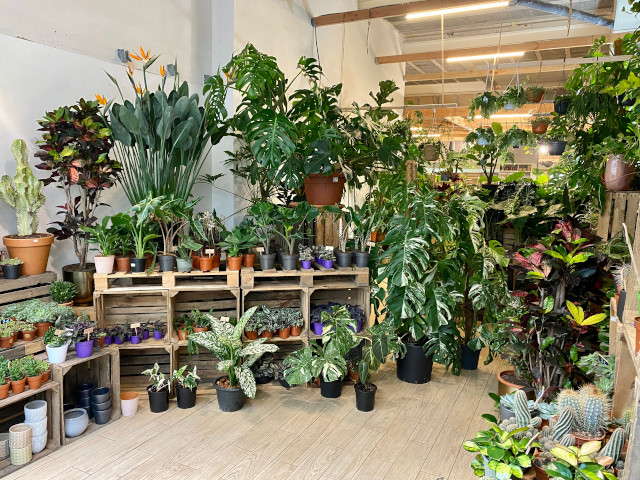 plant room photo