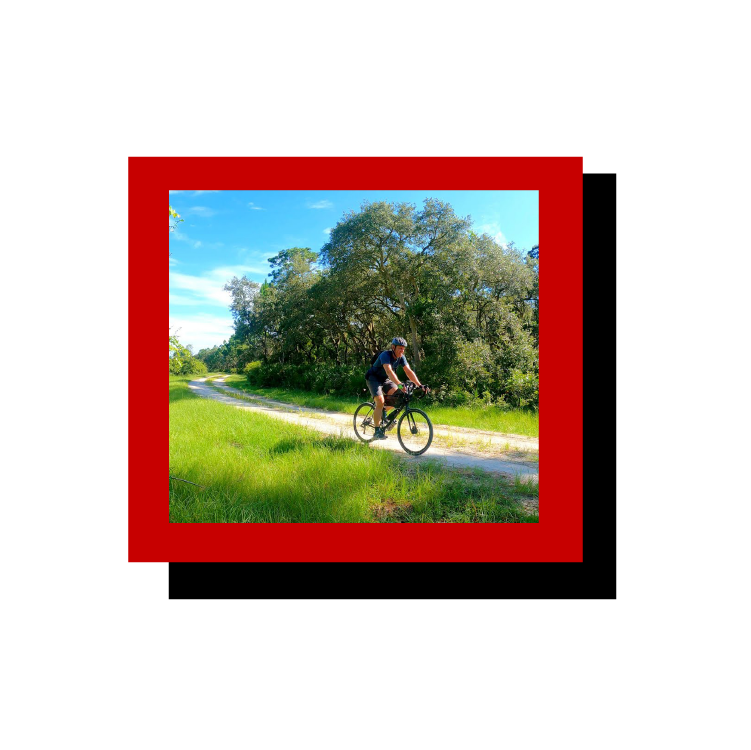 A man riding a bike on a forest path