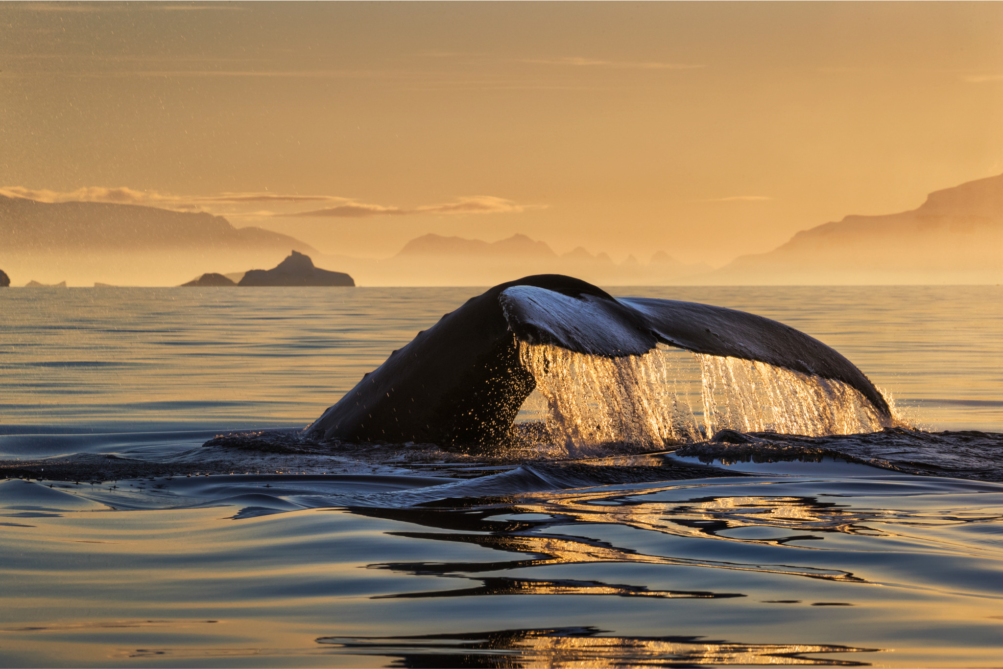 Antarctic Veil