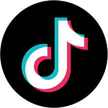 Tiktok logo