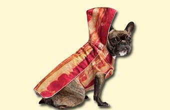 link to bacon dog costume page