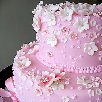 May Flowers Cake Photo