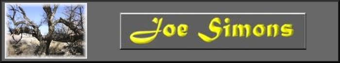 Web portal of Joe Simons