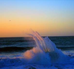 Ocean Coast Portraits