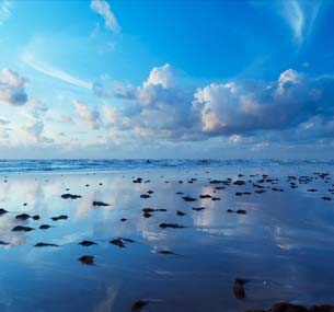 Ocean Coast Portraits