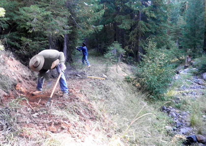 Clearing A Trail